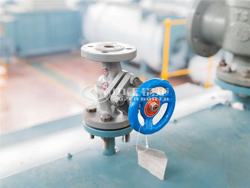 30噸燃生物質(zhì)導(dǎo)熱油爐整套價格