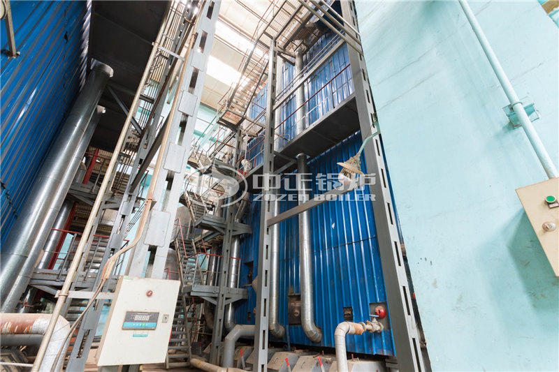 8T燃生物質(zhì)導熱油爐廠