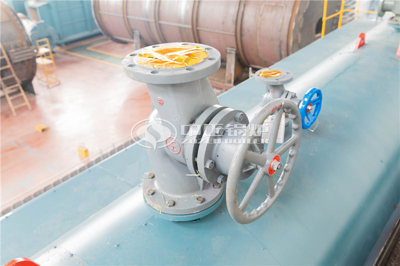 15T燃生物質(zhì)導(dǎo)熱油爐合適價位