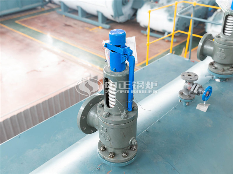 10T燃生物質(zhì)導(dǎo)熱油鍋爐制造廠(chǎng)