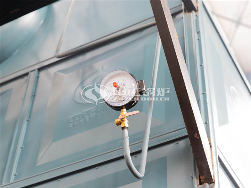 30T燃油導(dǎo)熱油鍋爐大廠(chǎng)