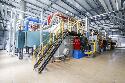 40T燃生物質(zhì)導(dǎo)熱油爐多少萬(wàn)元買到