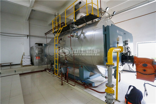 20T燃生物質(zhì)導(dǎo)熱油爐需要多少錢(qián)